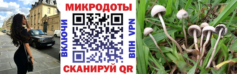 Псилоцибиновые грибы ЛСД  Моздок 