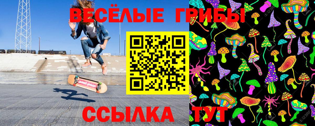 Галлюциногенные грибы прущие грибы Моздок