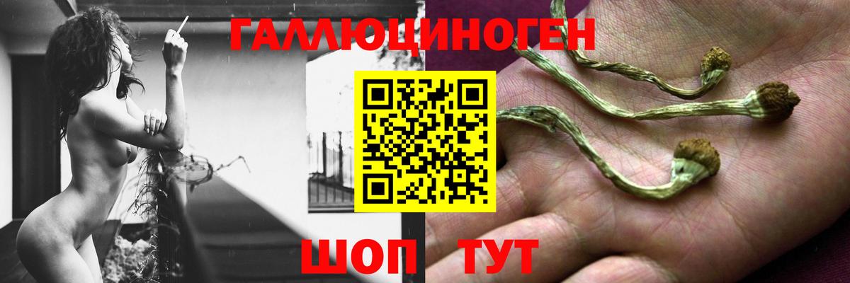 МДМА Моздок