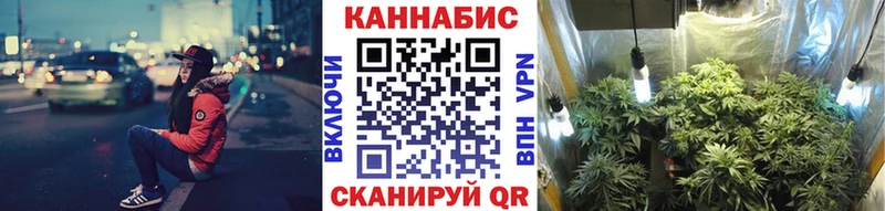магазин Моздок Марихуана конопля